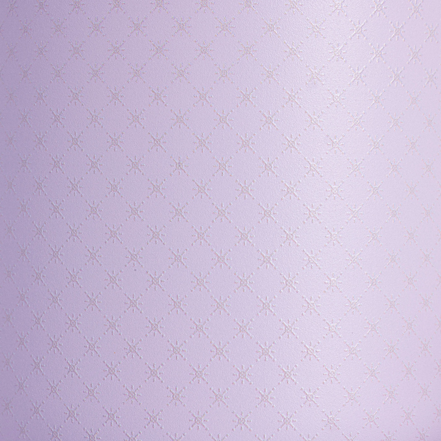 TITAN 40 OZ  LAVANDA POINTLINE