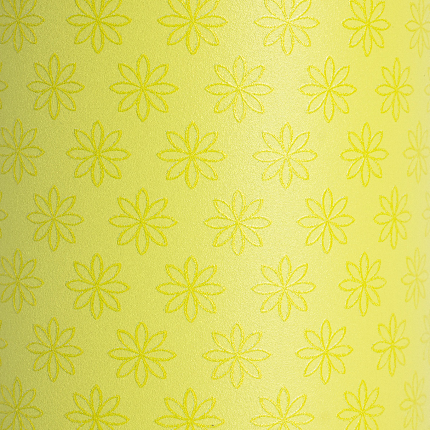 ACTIVE 24 OZ LIME STARS