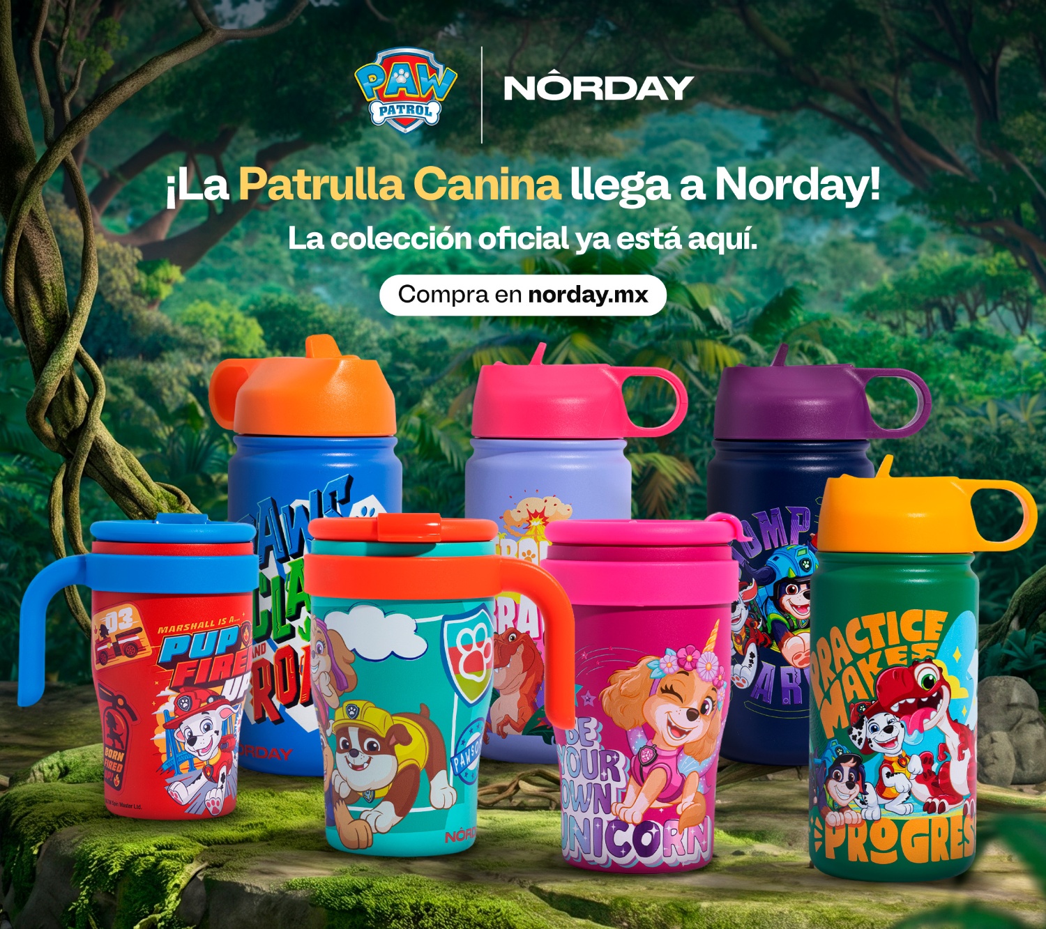 /collections/paw-patrol/products